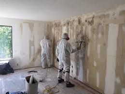 Best Mold Removal for HVAC Installations  in Farmers Loop, AK